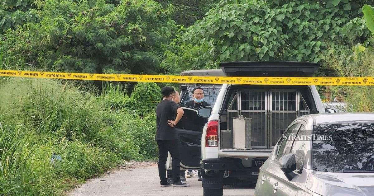 Arrested: Housemate of murdered salesgirl found naked