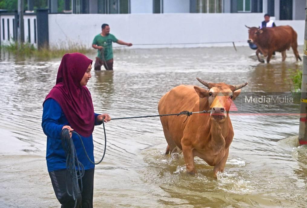 Banjir di Kelantan, Terengganu dan Perlis