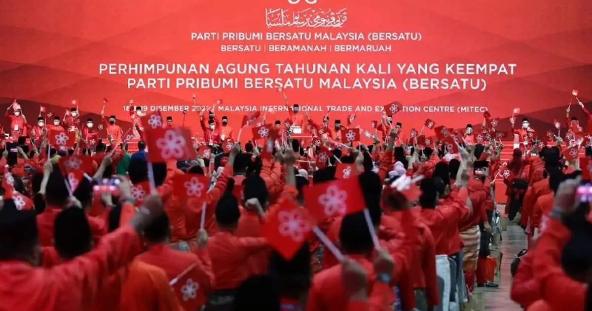 Bersatu to resolve internal issues by next month, says leader