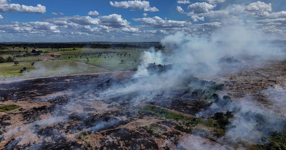 Brazil pitches trillion-ringgit forest fund to halt tropical deforestation