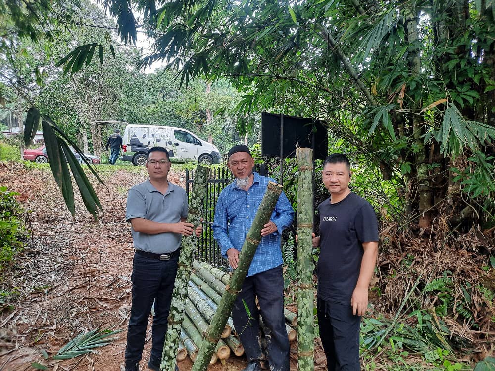 Buluh Kg. Kundur Ulu kekal jadi pilihan panda Zoo Negara