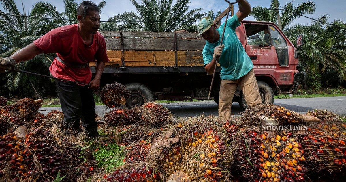 CPO price dip seen as temporary, stocks to rise in November: CIMB Securities