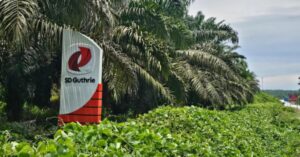 CPO upswing pushes SD Guthrie's Q3 profit 18.1pct higher