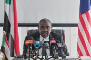 Condemnation appreciated but more than words needed, says Sudan envoy