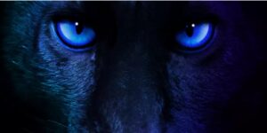 Intel-Panther-Lake-Core-Ultra-300-Series-CES-2026-confirmation-1