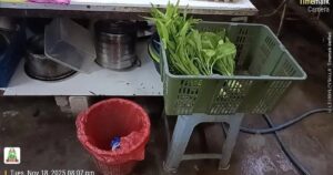 Council shuts 3 eateries in Hulu Selangor after rat droppings found