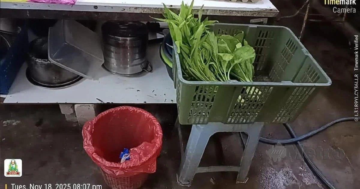 Council shuts 3 eateries in Hulu Selangor after rat droppings found