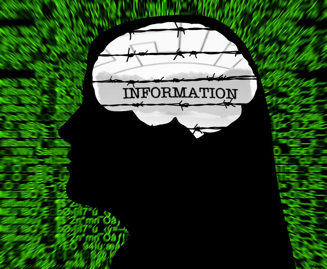 FOI: Keeping the lid open