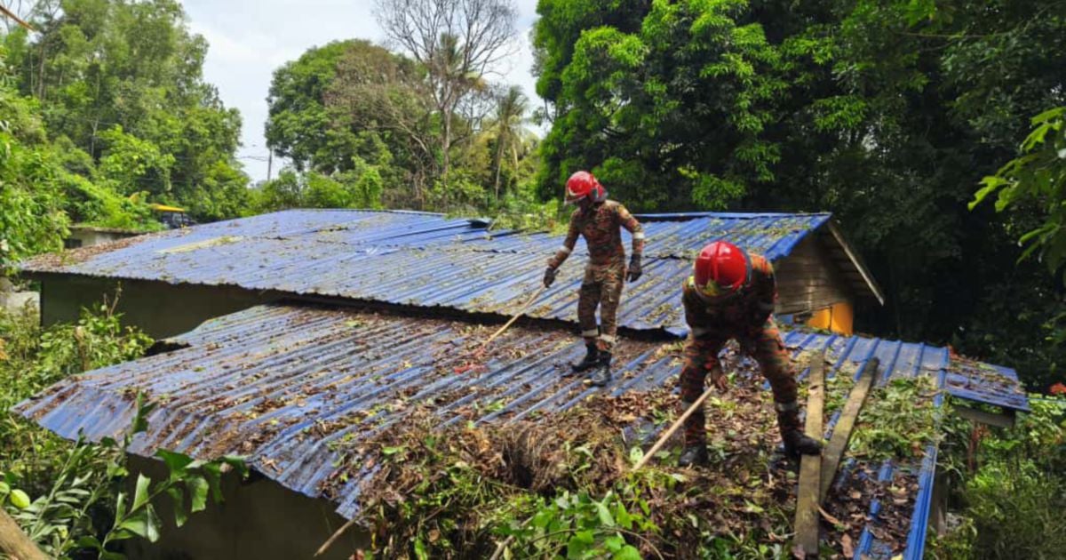 Family escapes unhurt after acacia tree crashes onto Kuantan home