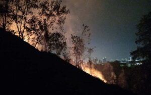 Forest fire at Taman Seri Timah, Balakong, fully extinguished