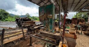 GOF seizes RM6.3m in illegal timber, detains two