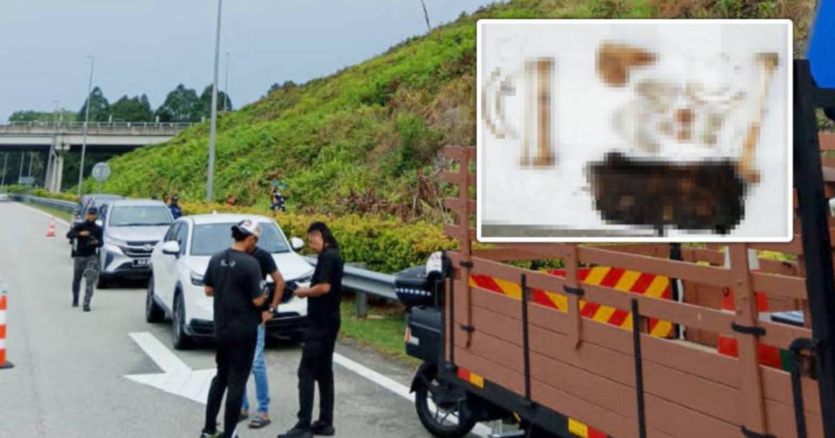 Human skeletal remains found on Lekas Highway hill slope