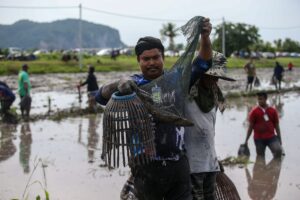 Kampung Tengah gamat, lebih 500 sertai serkap ikan