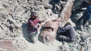 Kapal Purba Berusia Lebih 800 Tahun Ditemukan Di Melaka