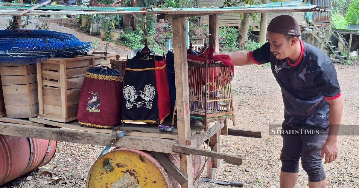 Kelantan trader builds raft to protect livestock from looming floods