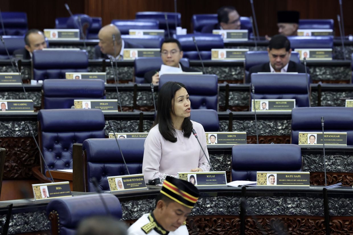 Malaysian Media Council to uphold ethics and professionalism, says Teo