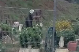 Minister calls for comprehensive probe into viral silat cemetery video