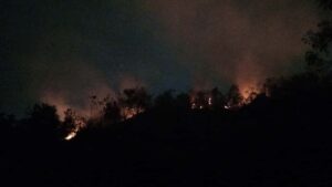 Pemadaman kebakaran hutan 1.2 hektar di Balakong giat dilakukan