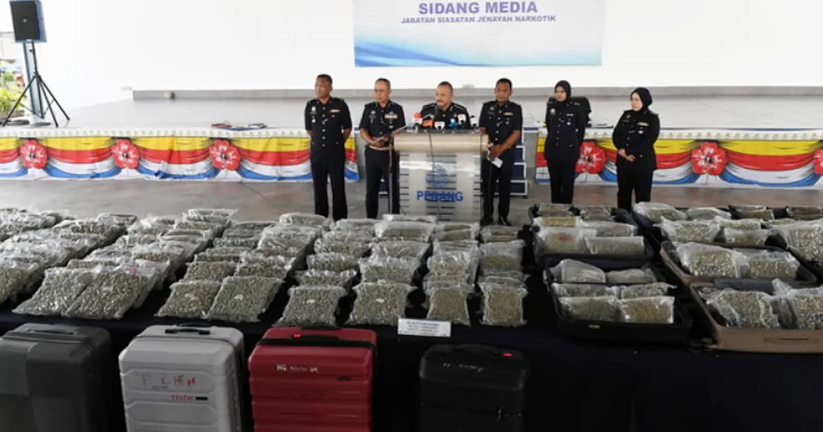 Penang cops seize cannabis flowers worth RM8.67mil, nab 8