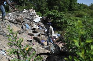 Penternak dakwa 17 lembu mati akibat bahan kimia