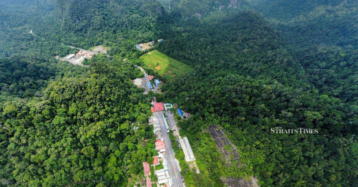 Raja of Perlis urges people to play active role in conserving nature