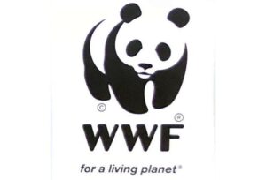 Sabah polls: Green issues might affect voters' picks on Nov 29, says WWF-Malaysia