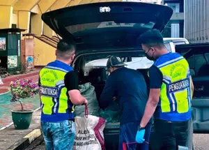 Sabah wildlife rangers brave dangers