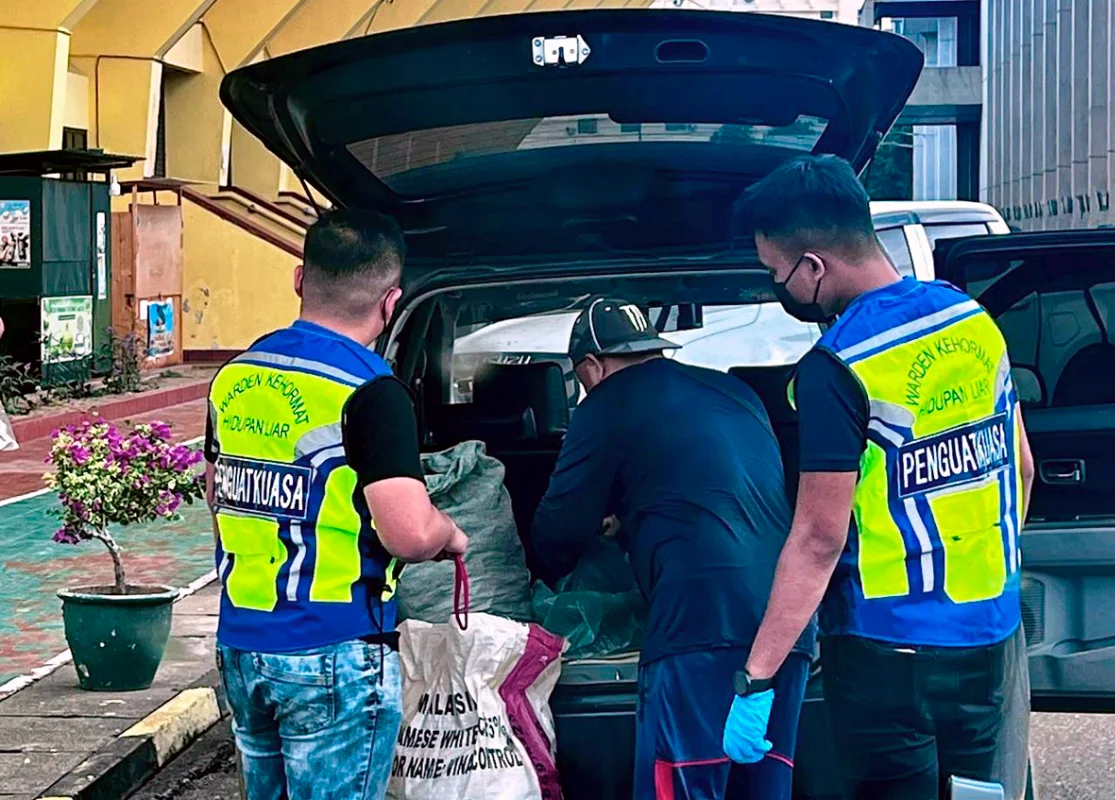 Sabah wildlife rangers brave dangers