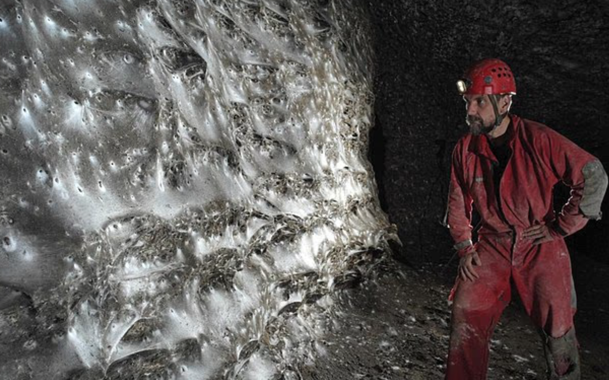 Sarang labah-labah terbesar dunia ditemukan di sempadan Albania-Greece