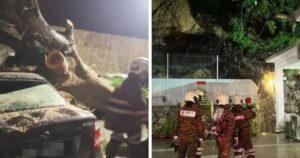 Senyar leaves fallen trees, minor landslide in its wake in Negeri Sembilan