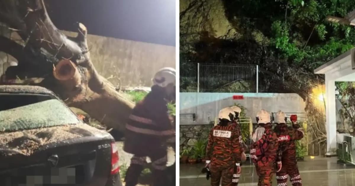 Senyar leaves fallen trees, minor landslide in its wake in Negeri Sembilan