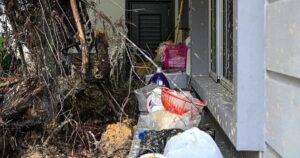 Senyar sees 49 cases of fallen trees, one death