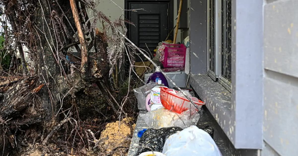 Senyar sees 49 cases of fallen trees, one death