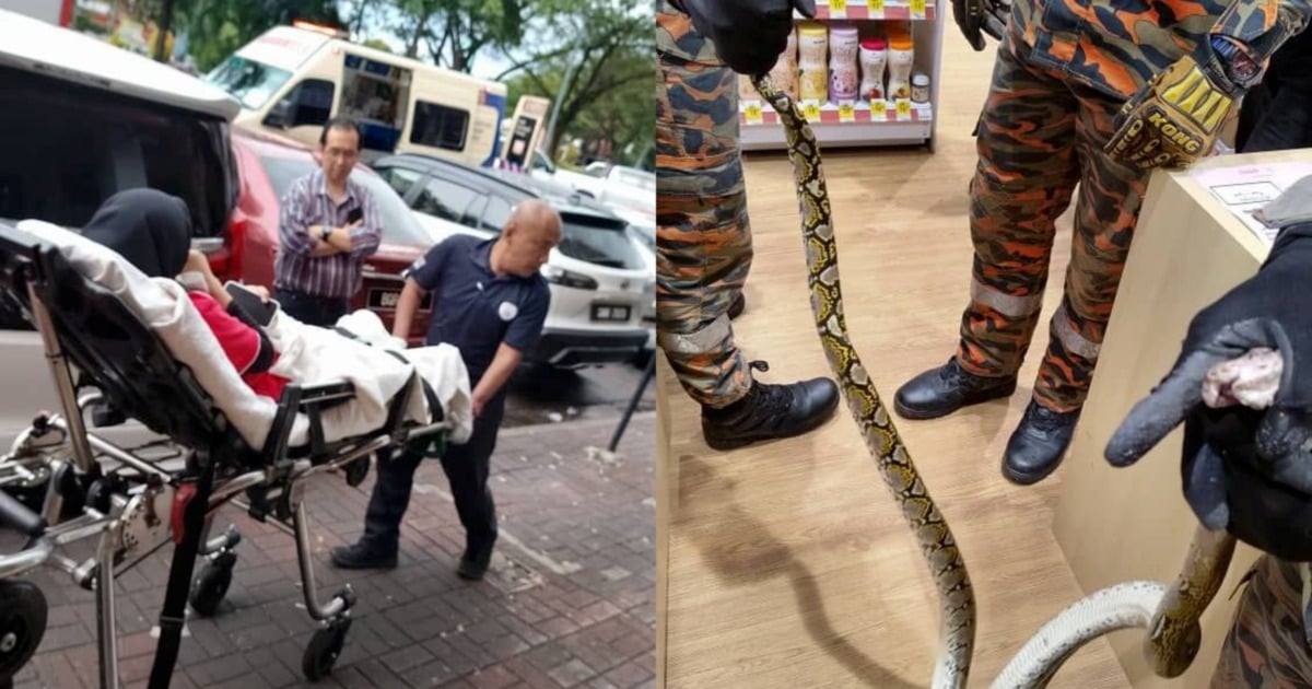 Setia Alam pharmacy staff bitten by python in workplace toilet