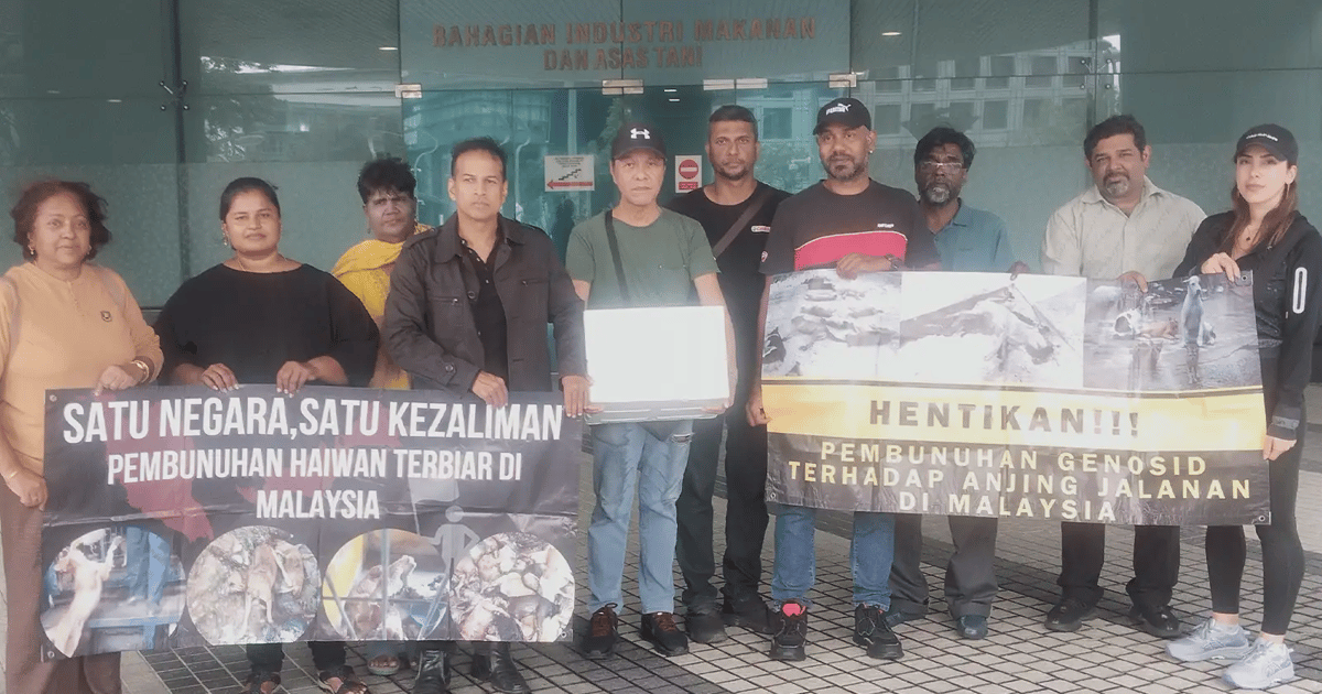 Shah Alam vets ordered to re-open probe into dead puppies case