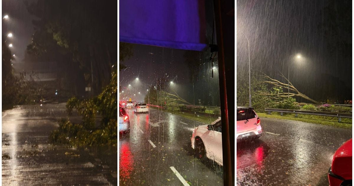 Trees uprooted due to storm, heavy rain in Kuantan