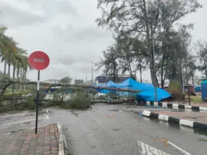 Tropical Storm Senyar triggers landslides and floods across Malaysia