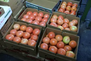 Trump signs order to lower tariffs on beef, coffee, other goods