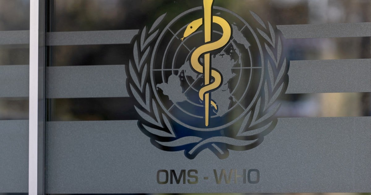 Tuberculosis killed 1.23 million last year - WHO