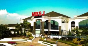 Who do our local councils really serve?