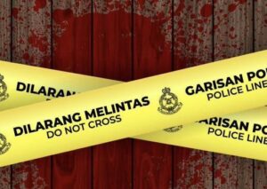 Woman, son injured in tussle with knife-wielding maid