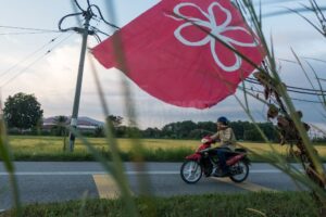 分析员：土团党不会重蹈46精神党解散命运