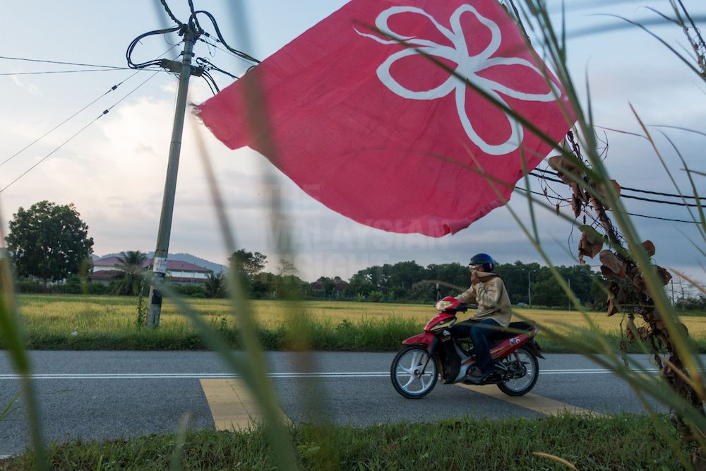 分析员：土团党不会重蹈46精神党解散命运