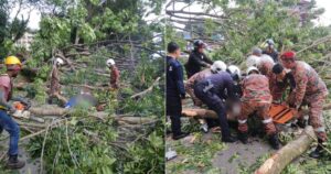 'He was saving for his wedding', says sister of rider killed by fallen tree