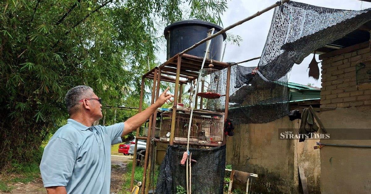 'I lost almost everything': Kelantan residents on edge as floods loom