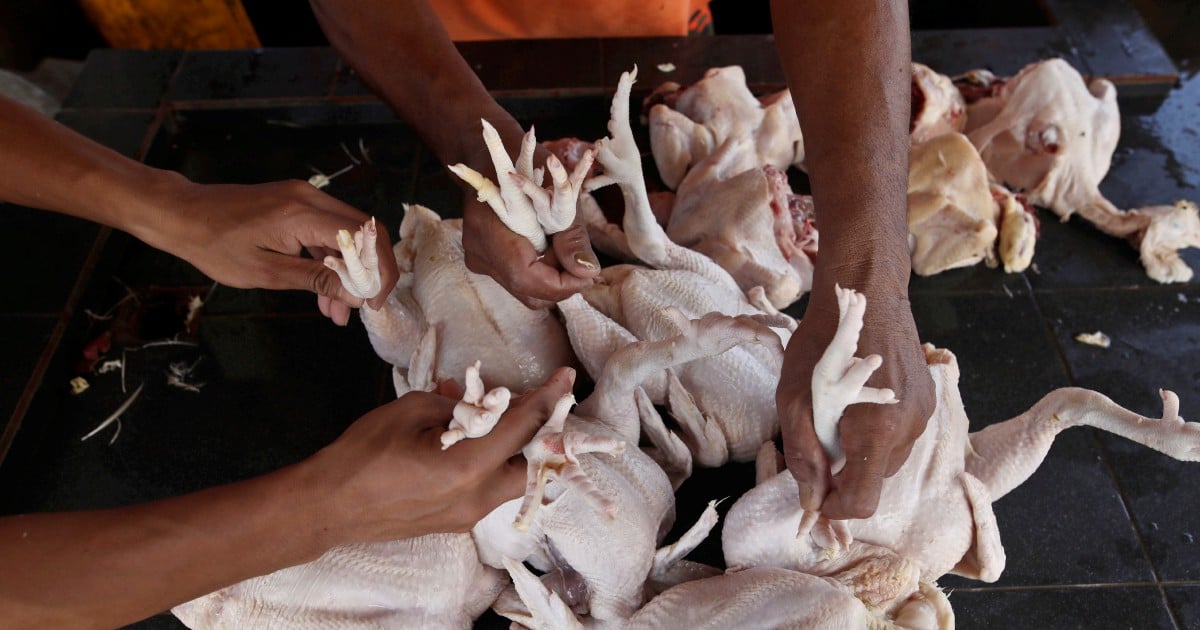 11.5 tonnes of subsidised chicken sold out in an hour