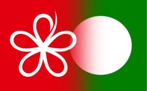 After Perlis MB issue, PAS division youth wing wants party to cut ties with Bersatu