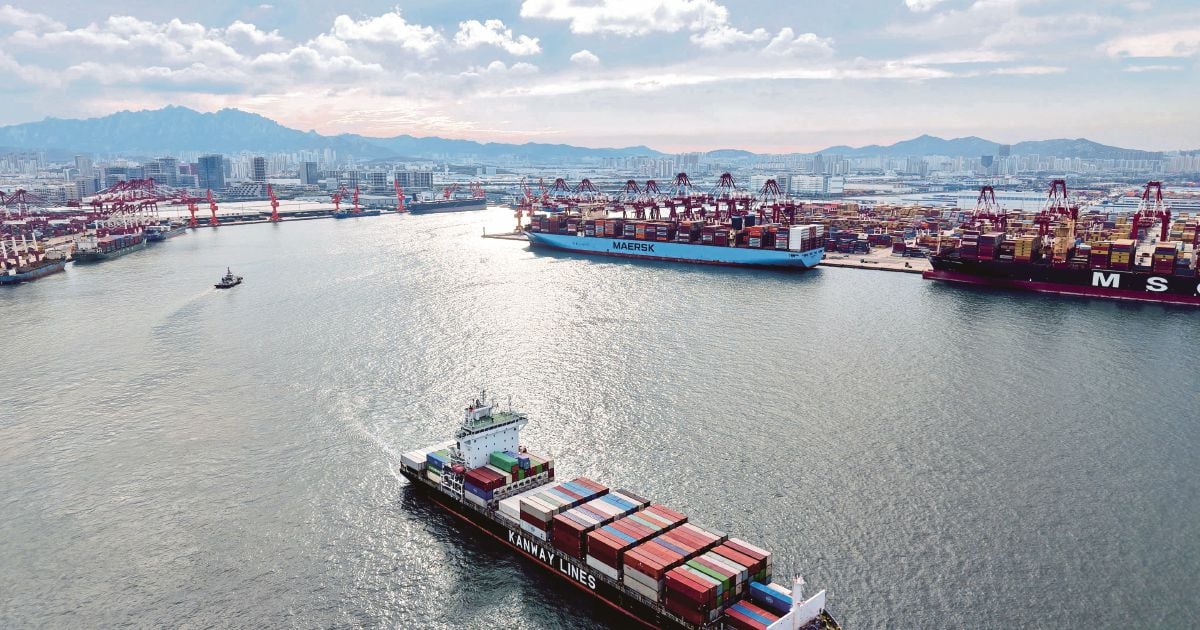 Chinese economy shows resilience and potential: World Bank economist