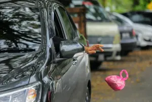 Community service order starts to curb minor littering