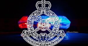 Doggone it! Thief drives off car with owner's dog still inside